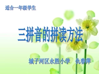 《三拼音节的拼读方法》课件