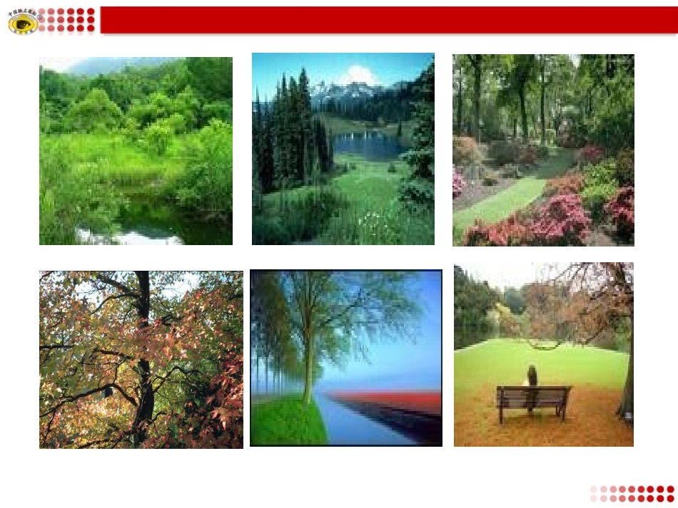 语文版八年级下册8﹡樵夫，别砍那棵树_第2页