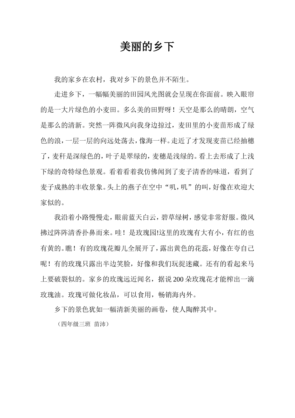 美丽的乡下 (2)_第1页