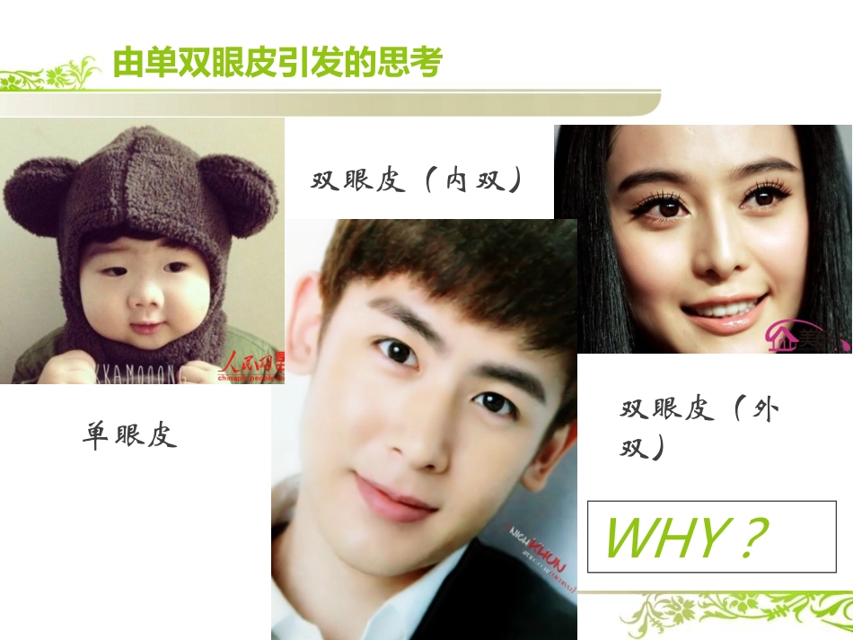 性状遗传有一定的规律性_第2页