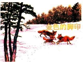 金色的脚印 (2)
