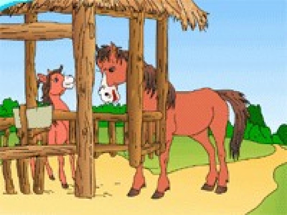 小马过河课件3_第3页