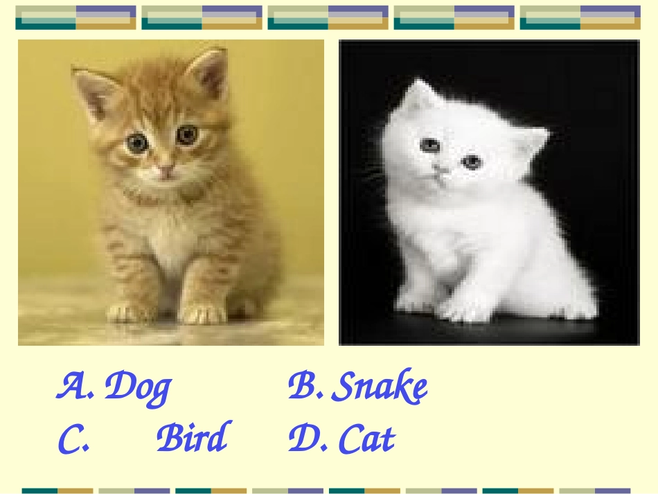 小学英语分类单词(动物类)_第2页