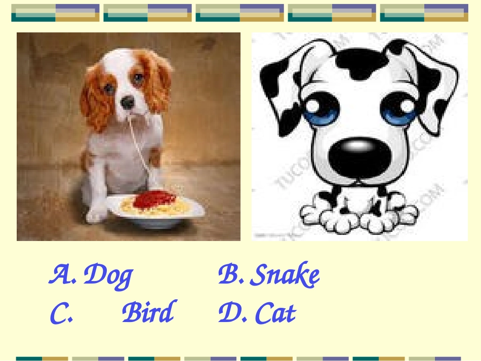 小学英语分类单词(动物类)_第3页