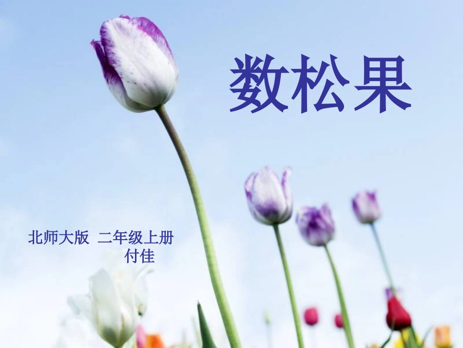 北师大版二年级下《数松果》东新一小学付佳_第1页