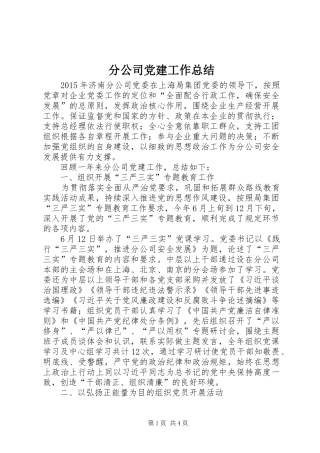 分公司党建工作总结 