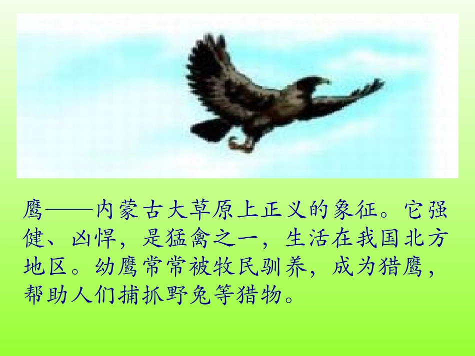成吉思汗和鹰课件1_第3页