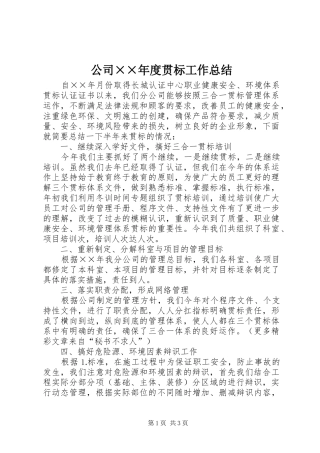 公司××年度贯标工作总结 