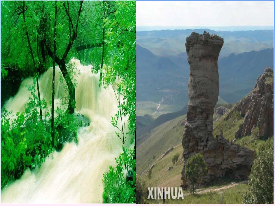 自然地理环境的整体讲课用性_第2页