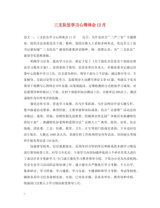 三支队伍学习心得体会12月 