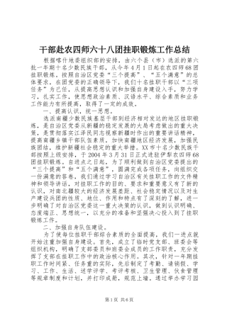 干部赴农四师六十八团挂职锻炼工作总结 
