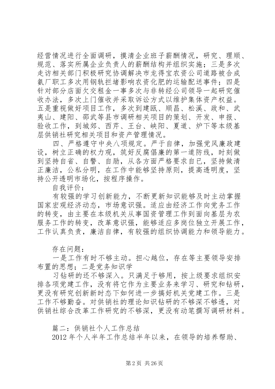 供销社个人工作总结 _第2页