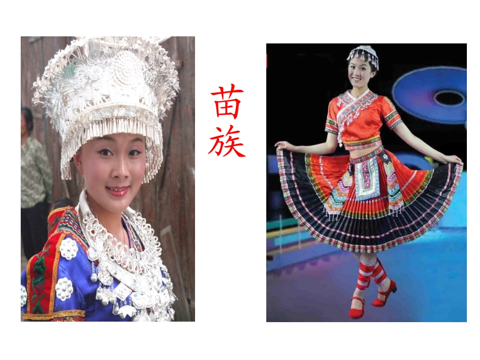 中华大家庭第三课_第2页