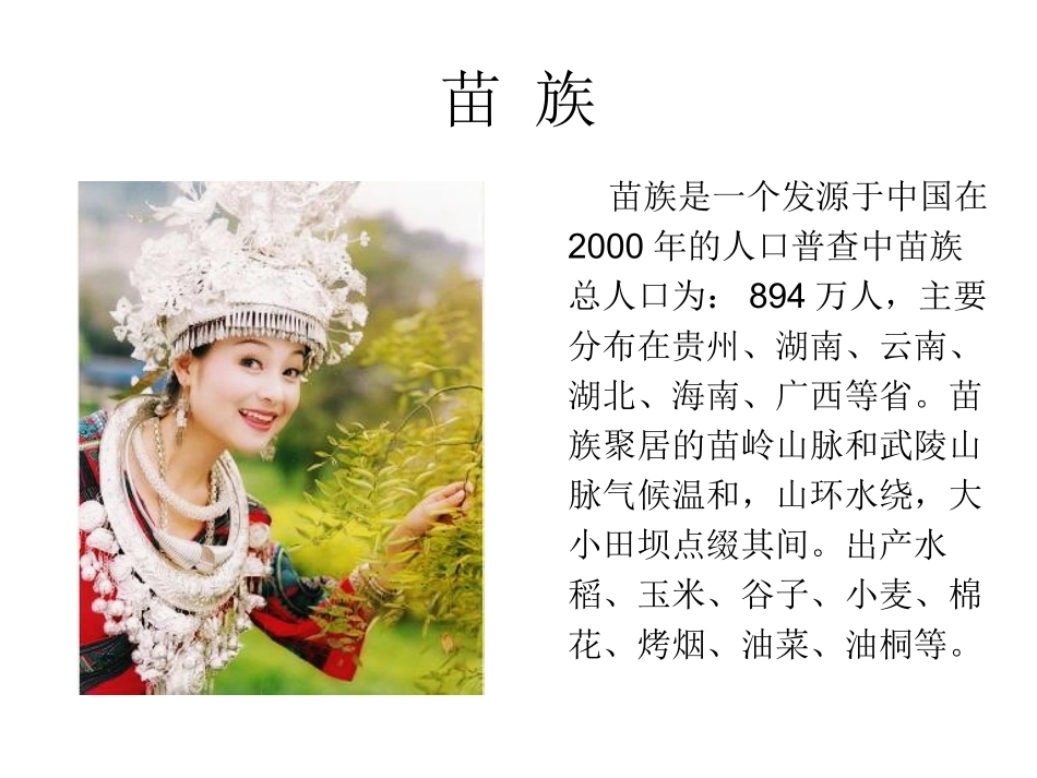 中华大家庭第三课_第3页