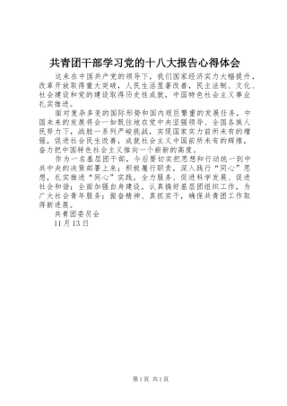 共青团干部学习党的十八大报告体会心得