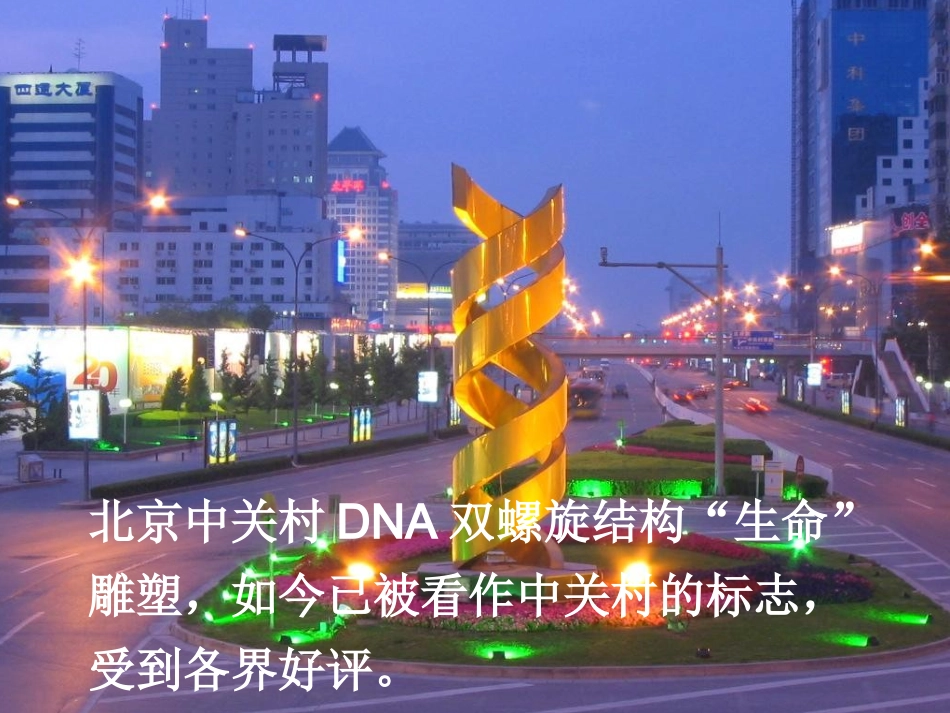 【生物】32DNA分子的结构课件1（人教版必修2）_第2页