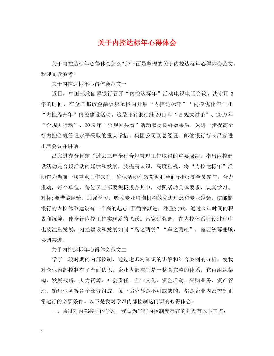 关于内控达标年心得体会 _第1页