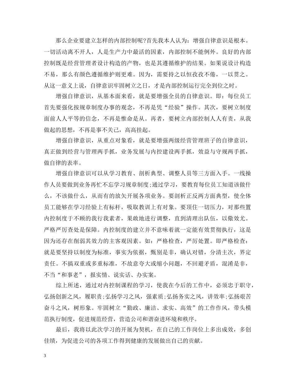 关于内控达标年心得体会 _第3页