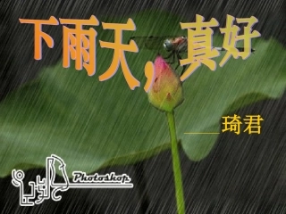 下雨天，真好