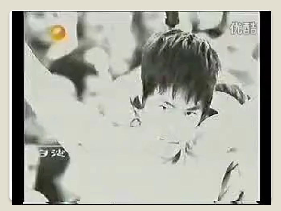 区级展示课《分式的意义》课件x_第2页