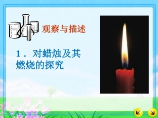 蜡烛燃烧探究
