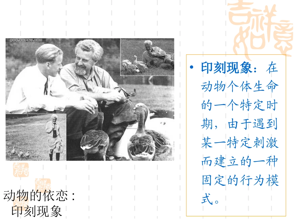 人类的依恋关系_第2页