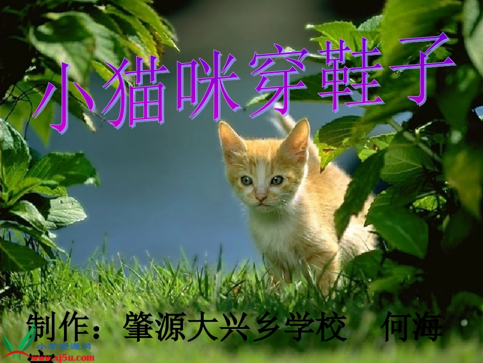 教科版二年级语文下册《小猫咪穿鞋子_2》PPT课件_第1页