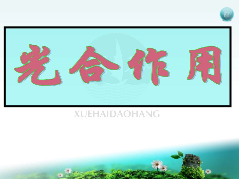 二轮光合作用_第1页