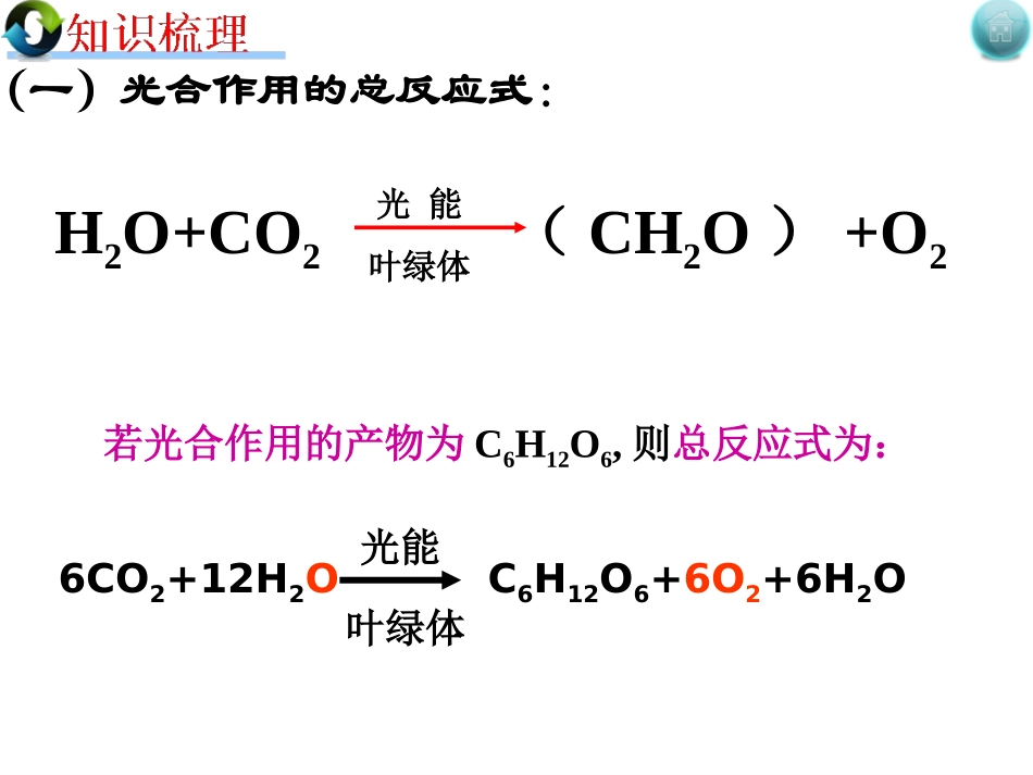 二轮光合作用_第3页