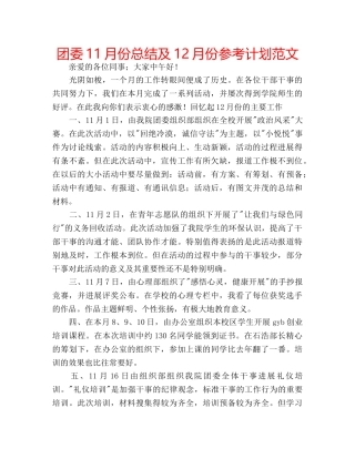 团委11月份总结及12月份参考计划范文 