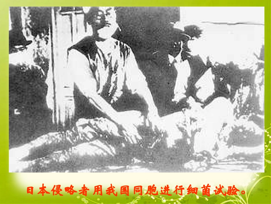 、土地的誓言_第3页