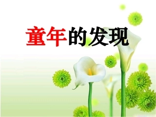 《童年的发现》教学课件1