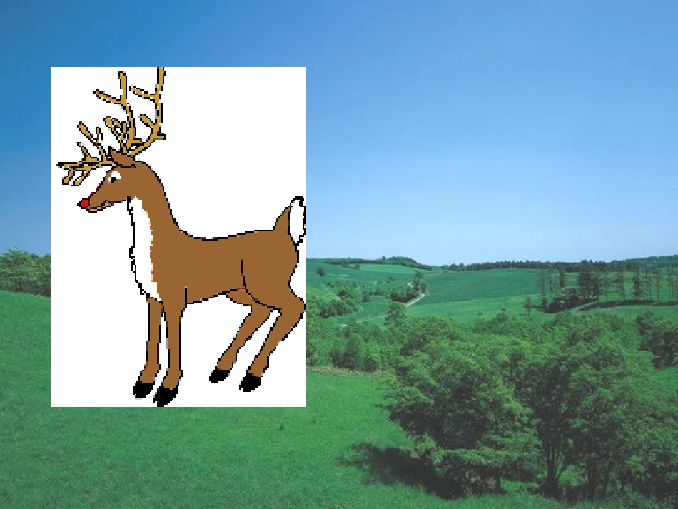 小鹿的玫瑰花 (2)_第1页