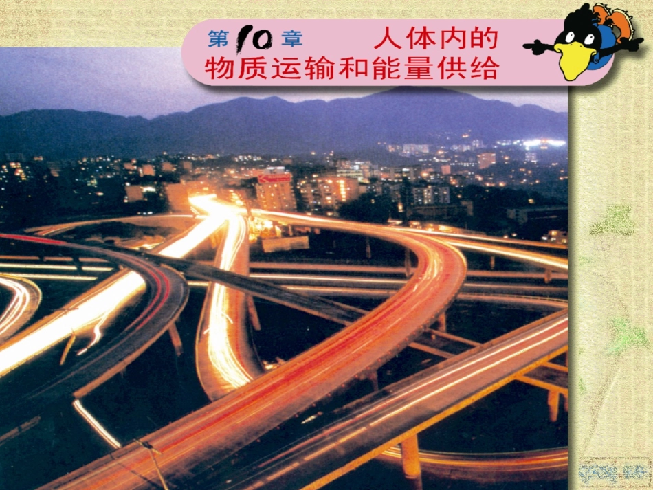 血液和血型苏教版_第1页