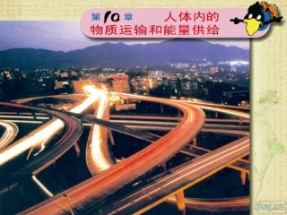 血液和血型苏教版
