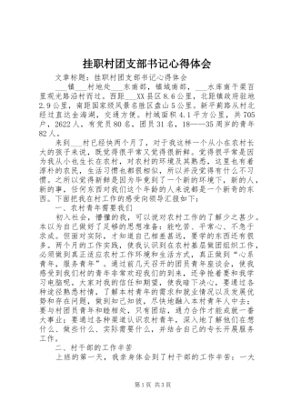 挂职村团支部书记体会心得