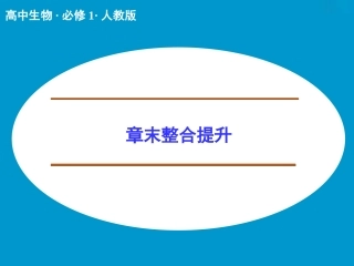 必修一第四章末整合提升4