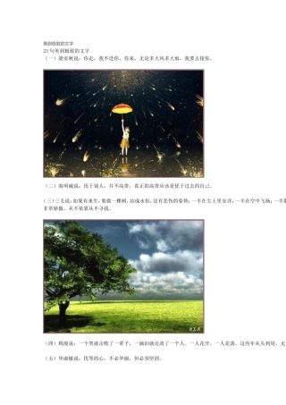 美到极致的文字