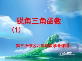 锐角三角函数（1）