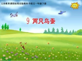 9两只鸟蛋课件2