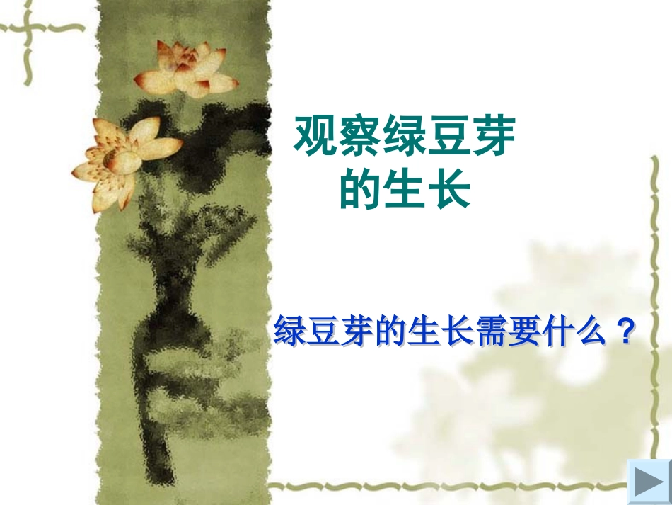 观察绿豆芽的生长_第1页