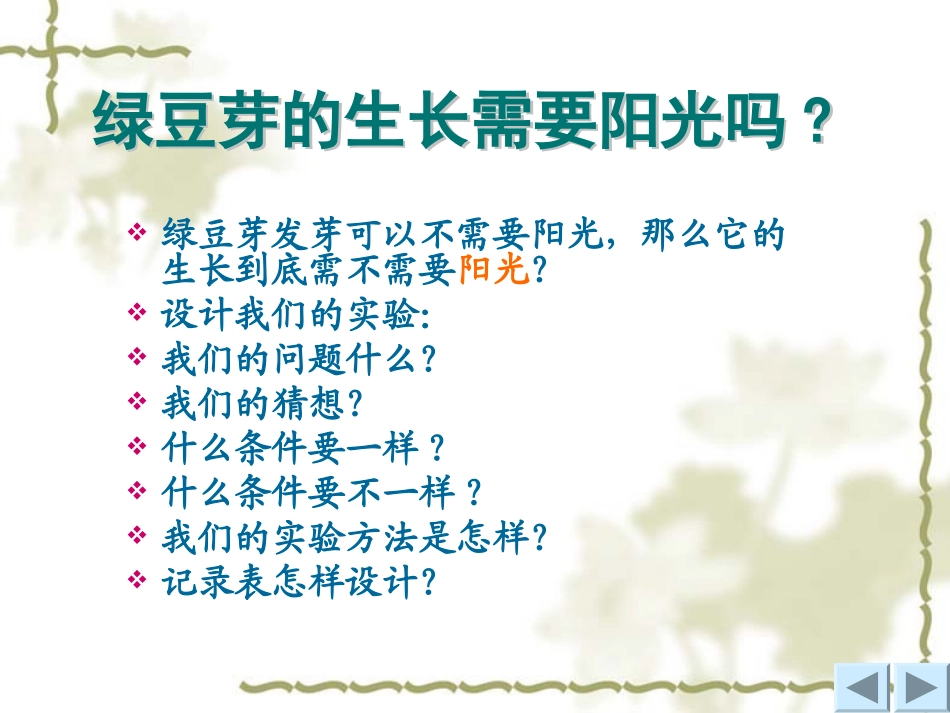 观察绿豆芽的生长_第3页