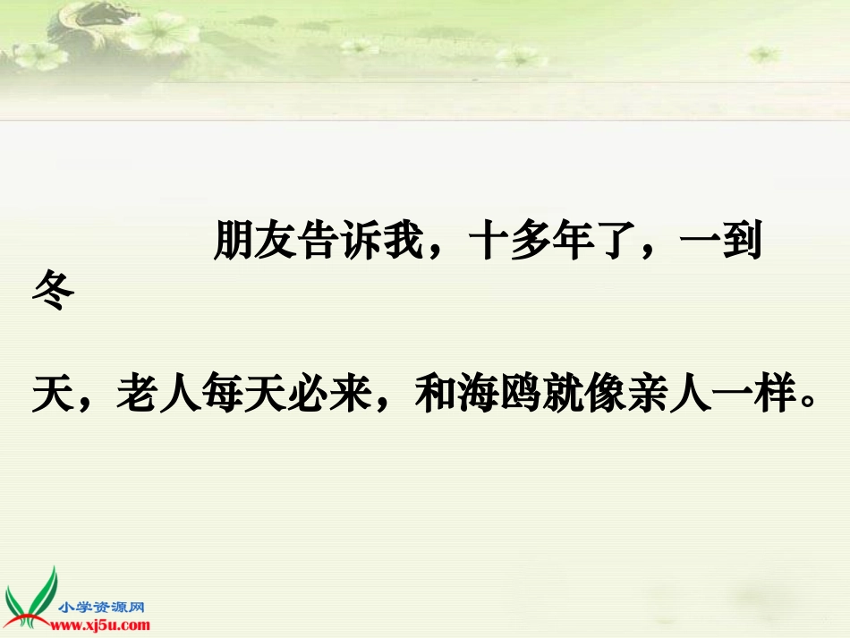 （人教新课标）六年级语文上册课件老人与海鸥2_第2页