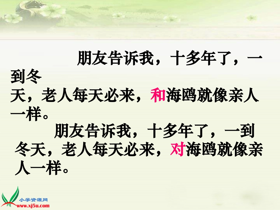 （人教新课标）六年级语文上册课件老人与海鸥2_第3页