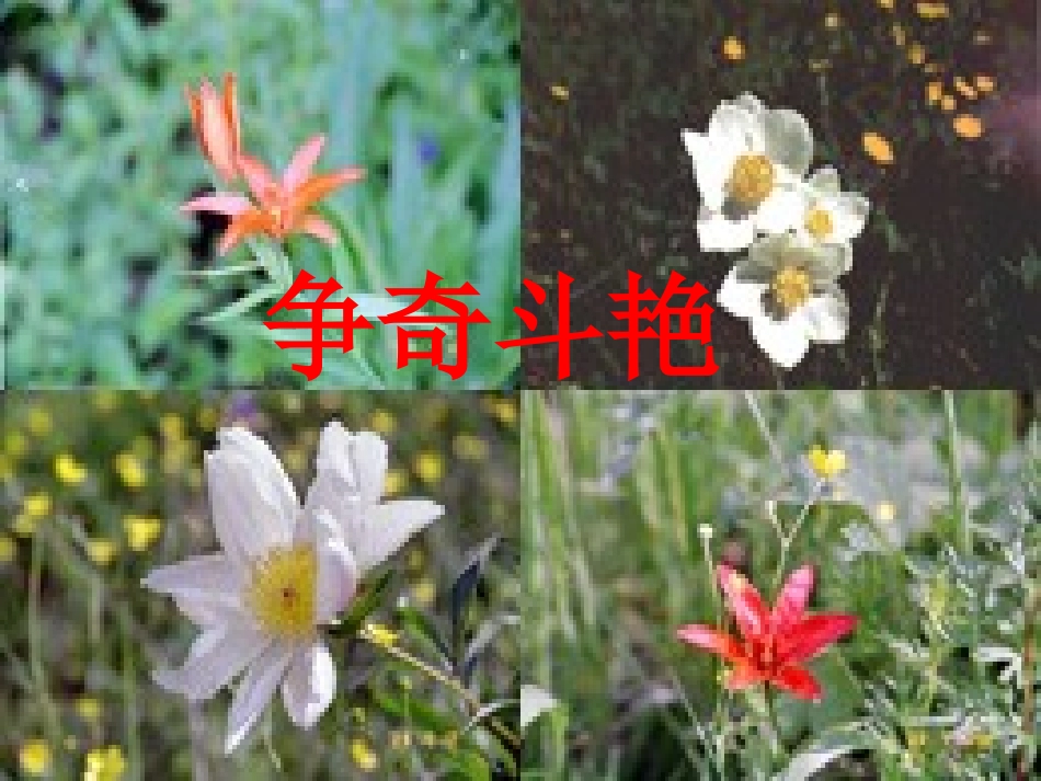 春天来了 (2)_第3页