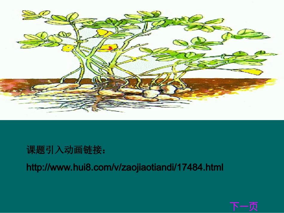 落花生_刘西岗_潍坊市昌乐县五图小学_第2页