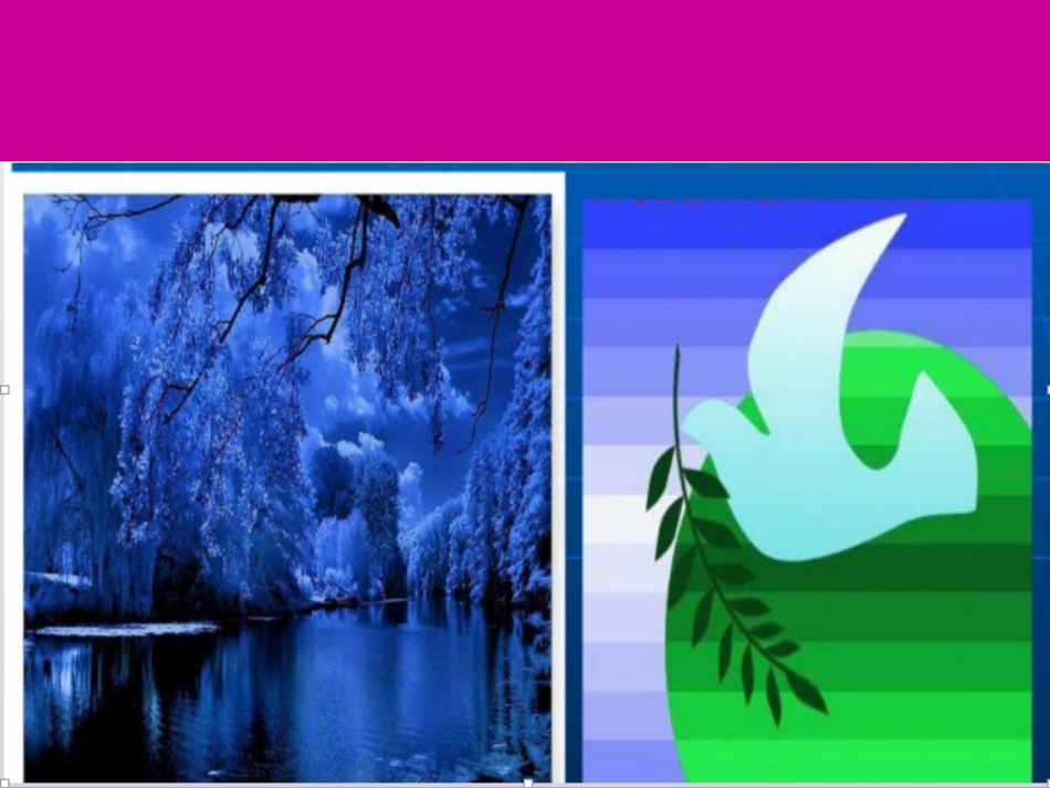 课件艳丽的大公鸡（李兰云）1_第2页