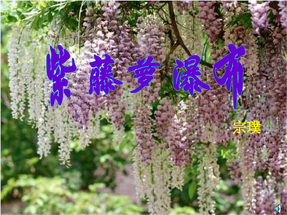 七年级语文紫藤萝瀑布_第1页