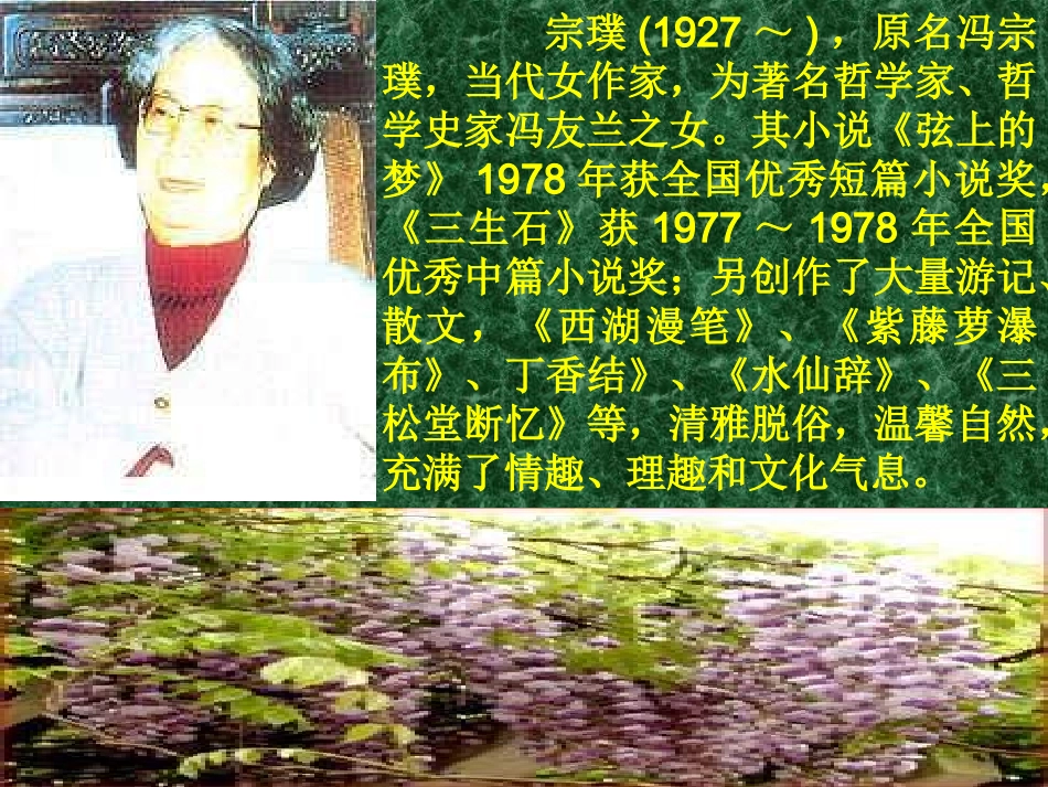 七年级语文紫藤萝瀑布_第2页