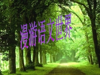 综合性学习：漫游语文世界